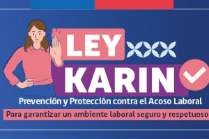 La entrada en vigencia de la Ley Karin está enfocada en la prevención, la violencia, las investigaciones y las sanciones relacionadas con el acoso laboral e incorpora la relación con terceros.